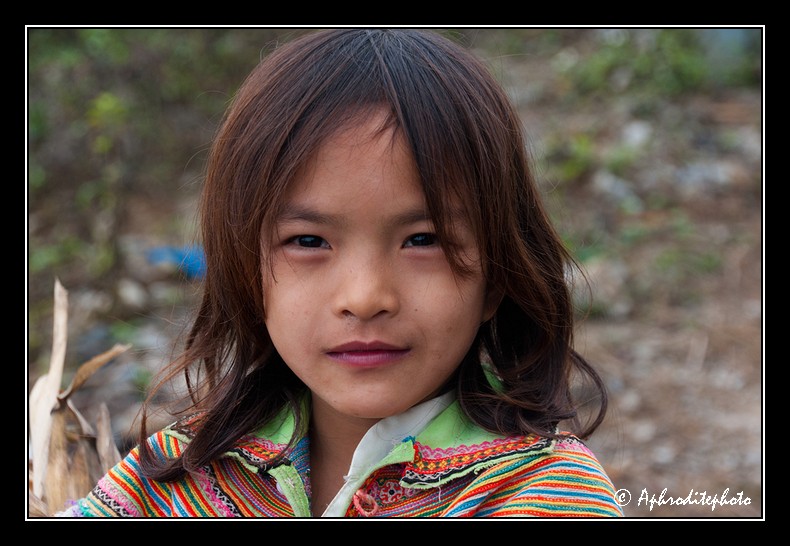 35 Hmong's portraits